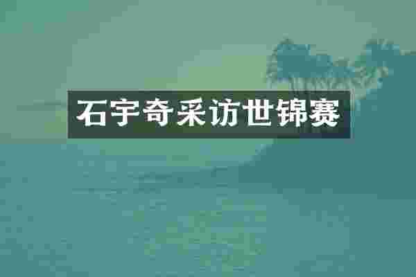 石宇奇采访世锦赛
