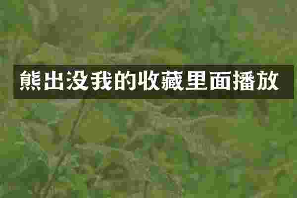 熊出没我的收藏里面播放