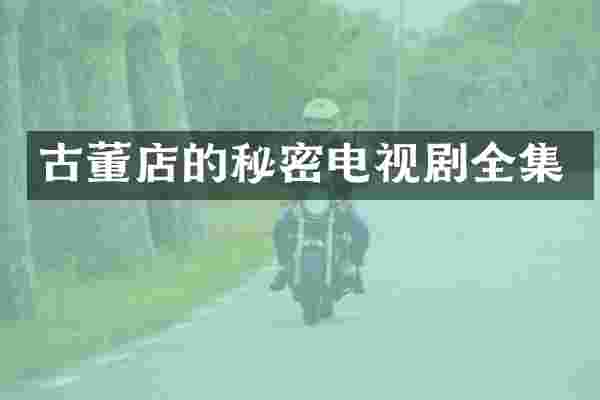 古董店的秘密电视剧全集