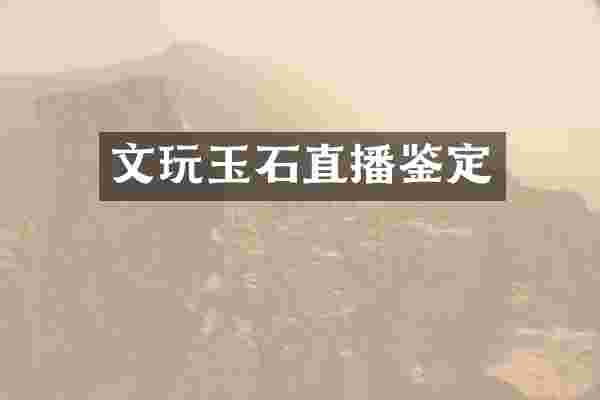 文玩玉石直播鉴定