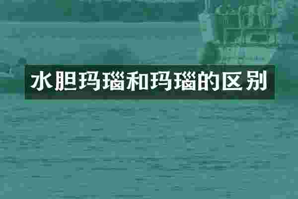 水胆玛瑙和玛瑙的区别