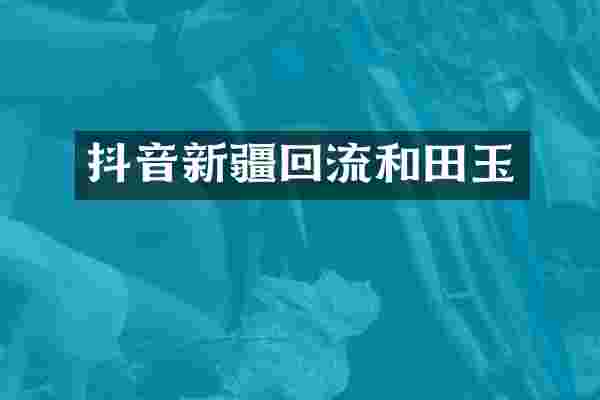 抖音新疆回流和田玉
