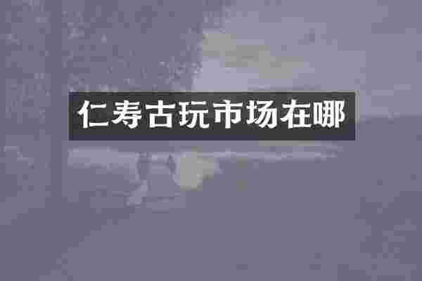 仁寿古玩市场在哪