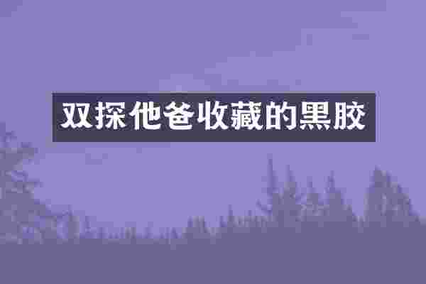 双探他爸收藏的黑胶
