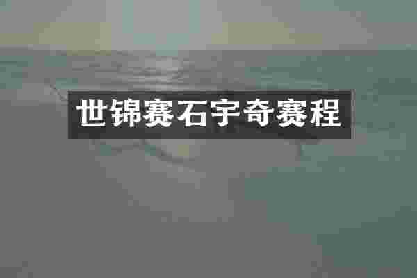 世锦赛石宇奇赛程