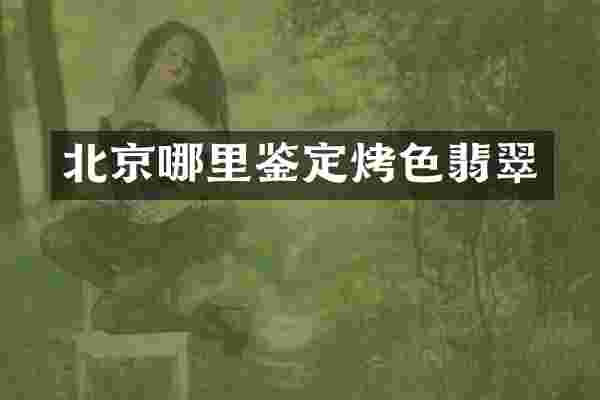 北京哪里鉴定烤色翡翠
