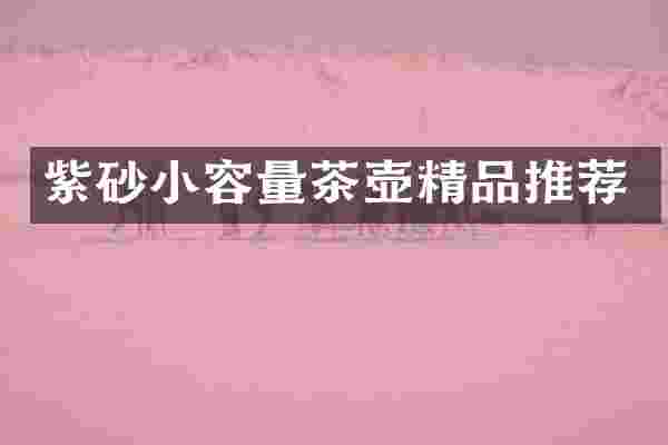紫砂小容量茶壶精品推荐