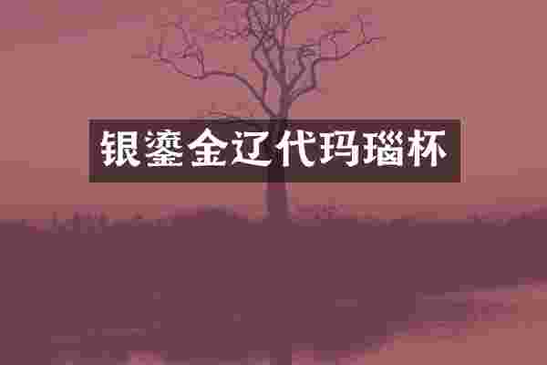 银鎏金辽代玛瑙杯