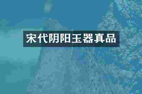 宋代阴阳玉器真品
