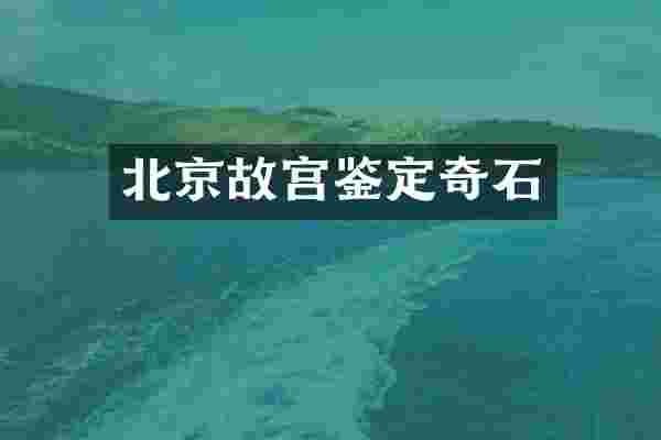 北京故宫鉴定奇石