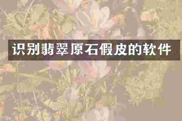 识别翡翠原石假皮的软件