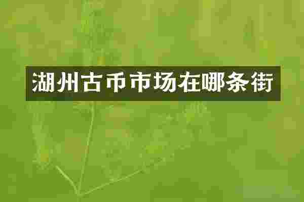 湖州古币市场在哪条街