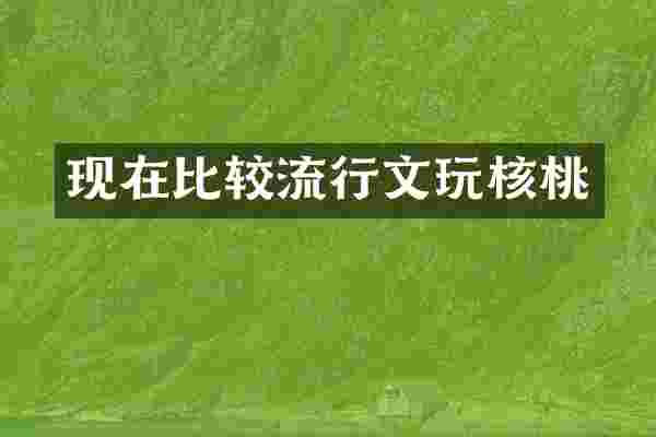 现在比较流行文玩核桃