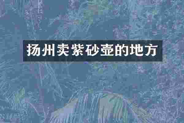 扬州卖紫砂壶的地方