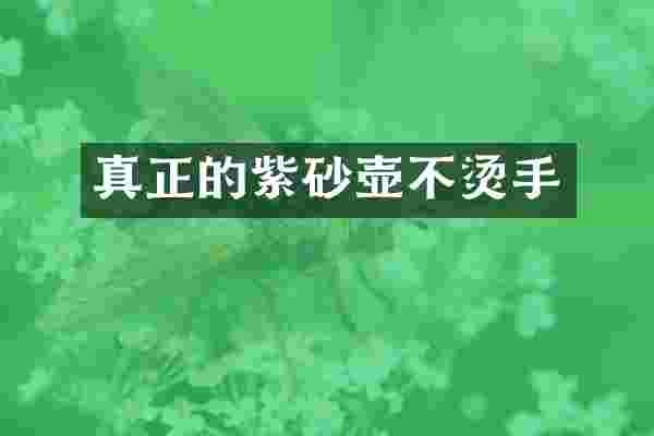 真正的紫砂壶不烫手