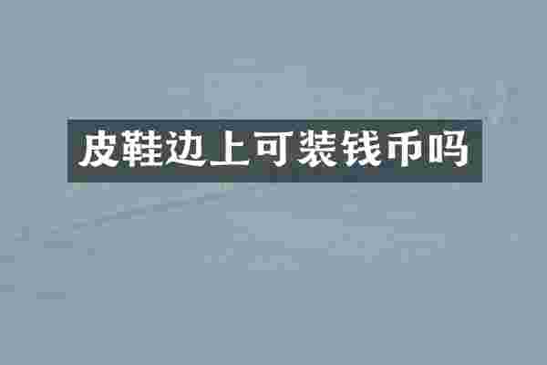 皮鞋边上可装钱币吗