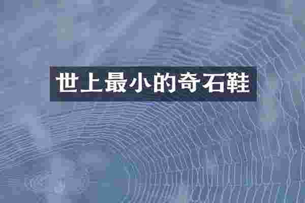 世上最小的奇石鞋