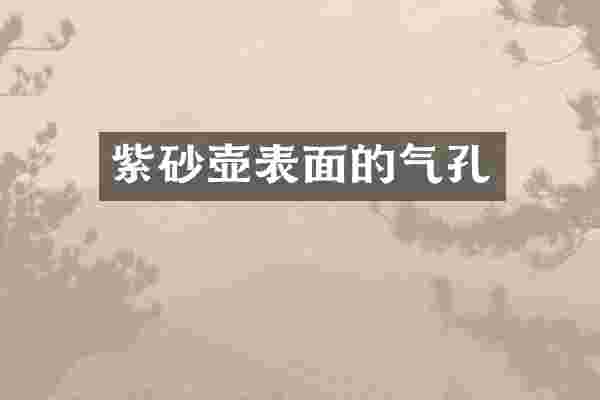 紫砂壶表面的气孔