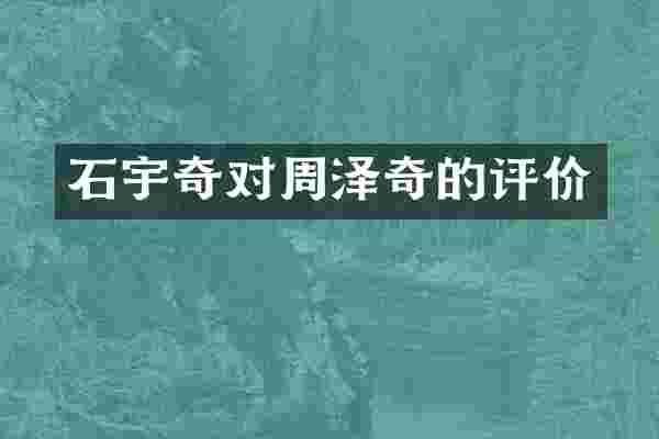 石宇奇对周泽奇的评价