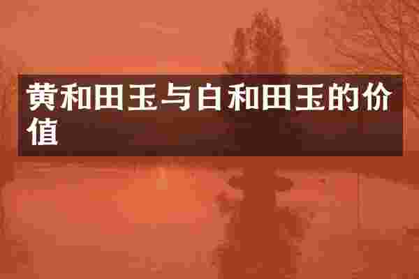 黄和田玉与白和田玉的价值