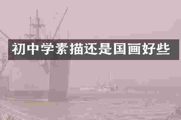 初中学素描还是国画好些
