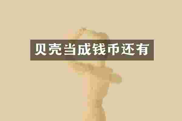 贝壳当成钱币还有
