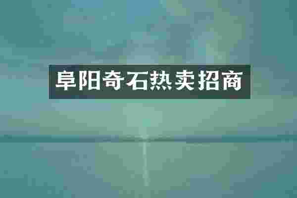 阜阳奇石热卖招商