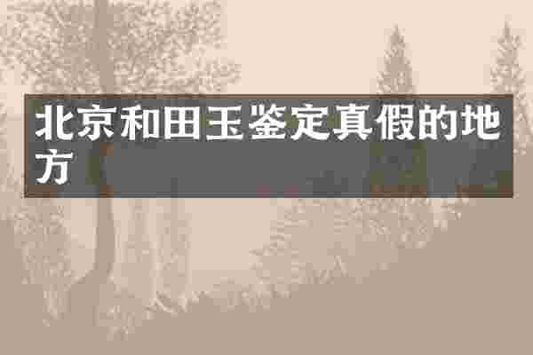 北京和田玉鉴定真假的地方