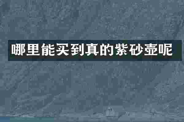 哪里能买到真的紫砂壶呢