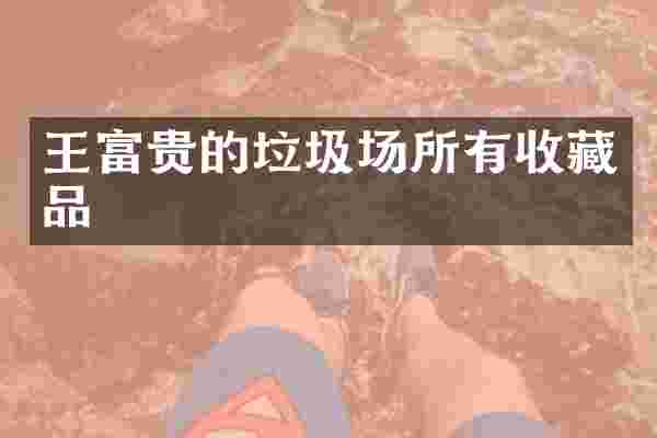 王富贵的垃圾场所有收藏品