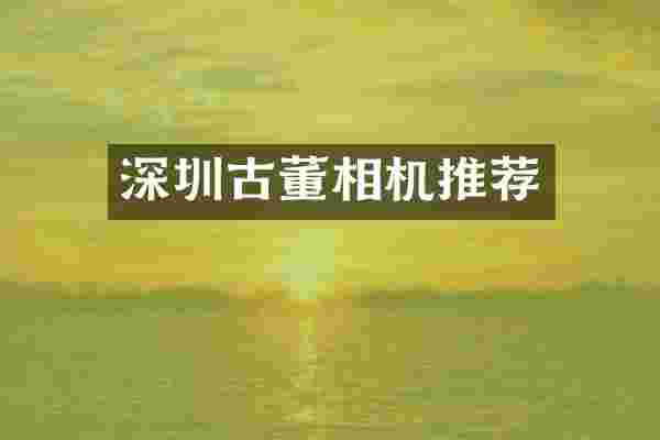 深圳古董相机推荐