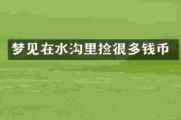 梦见在水沟里捡很多钱币