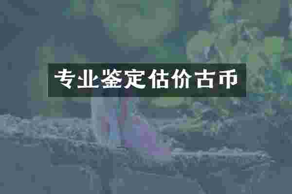 专业鉴定估价古币