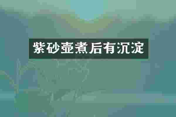 紫砂壶煮后有沉淀