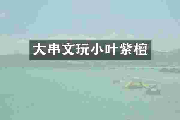 大串文玩小叶紫檀