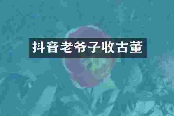 抖音老爷子收古董
