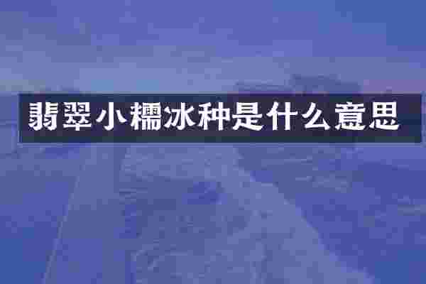 翡翠小糯冰种是什么意思