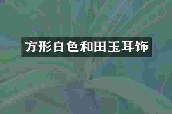 方形白色和田玉耳饰