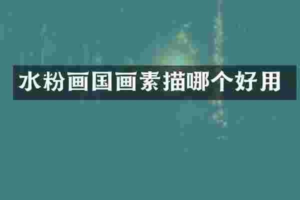 水粉画国画素描哪个好用