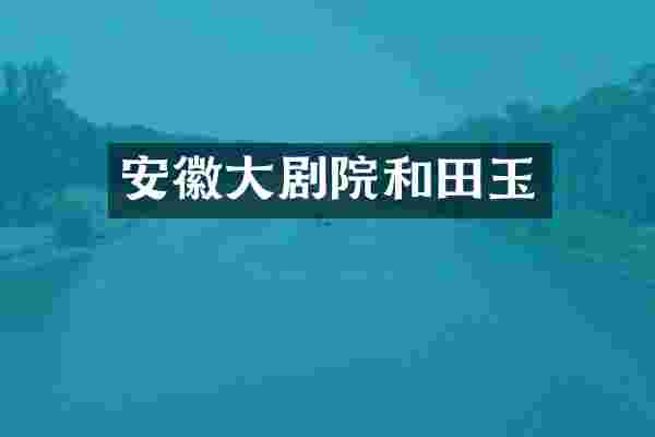 安徽大剧院和田玉