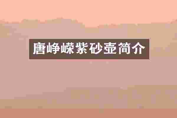 唐峥嵘紫砂壶简介