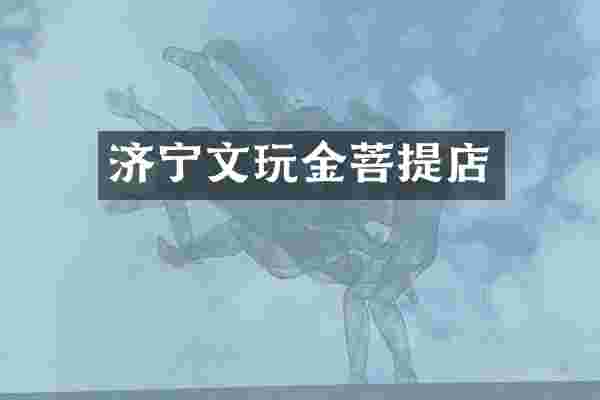 济宁文玩金菩提店