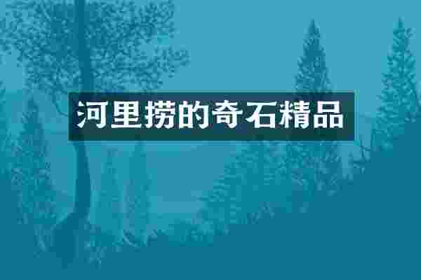 河里捞的奇石精品