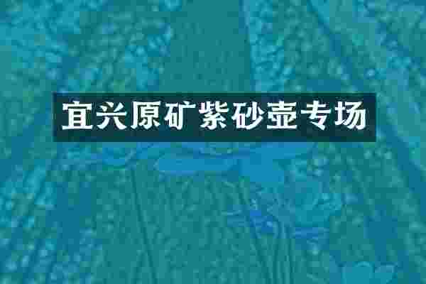 宜兴原矿紫砂壶专场