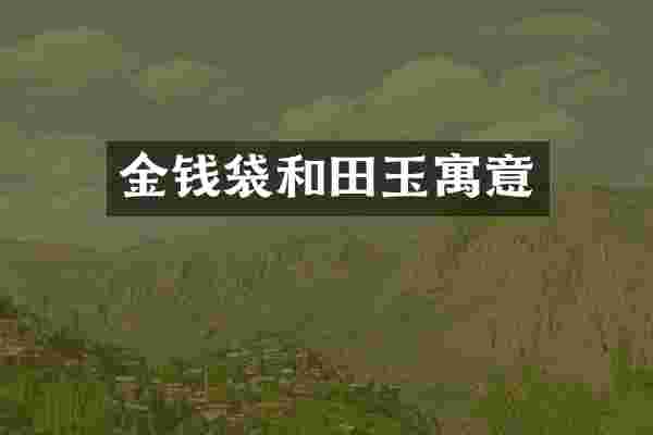 金钱袋和田玉寓意