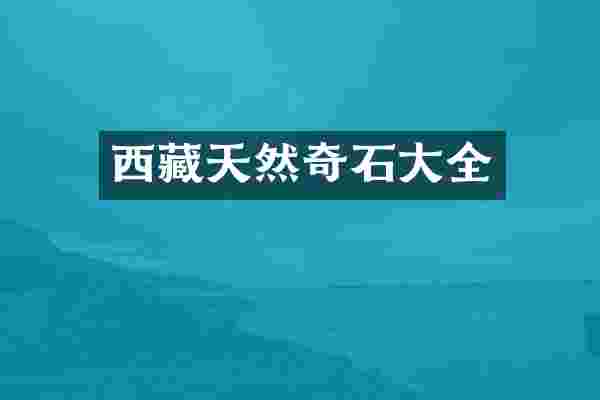 西藏天然奇石大全