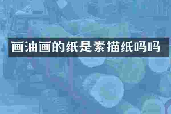 画油画的纸是素描纸吗吗