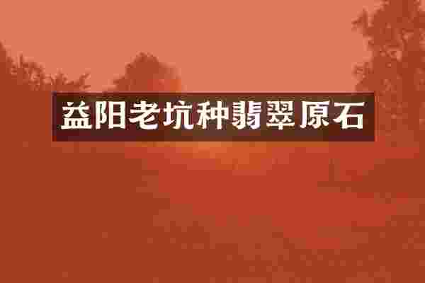益阳老坑种翡翠原石