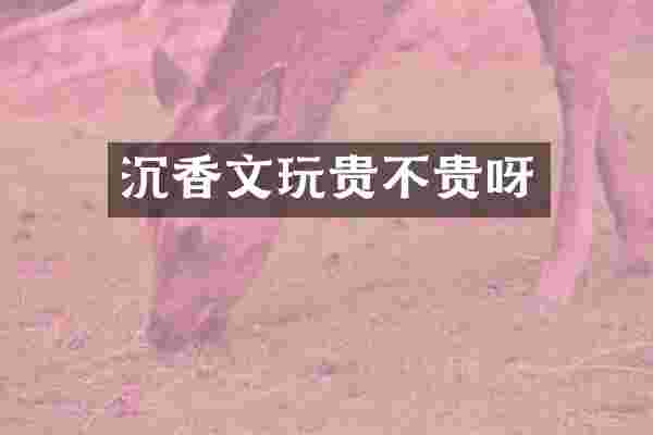 沉香文玩贵不贵呀
