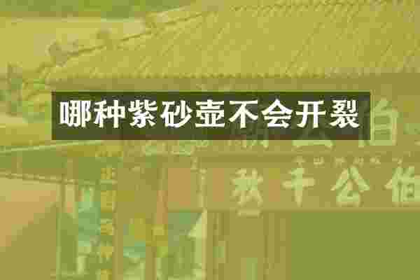 哪种紫砂壶不会开裂